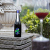 AntelopeKumikoLifestyle12000x2000 - SAKE MAMA | 日本酒ママ