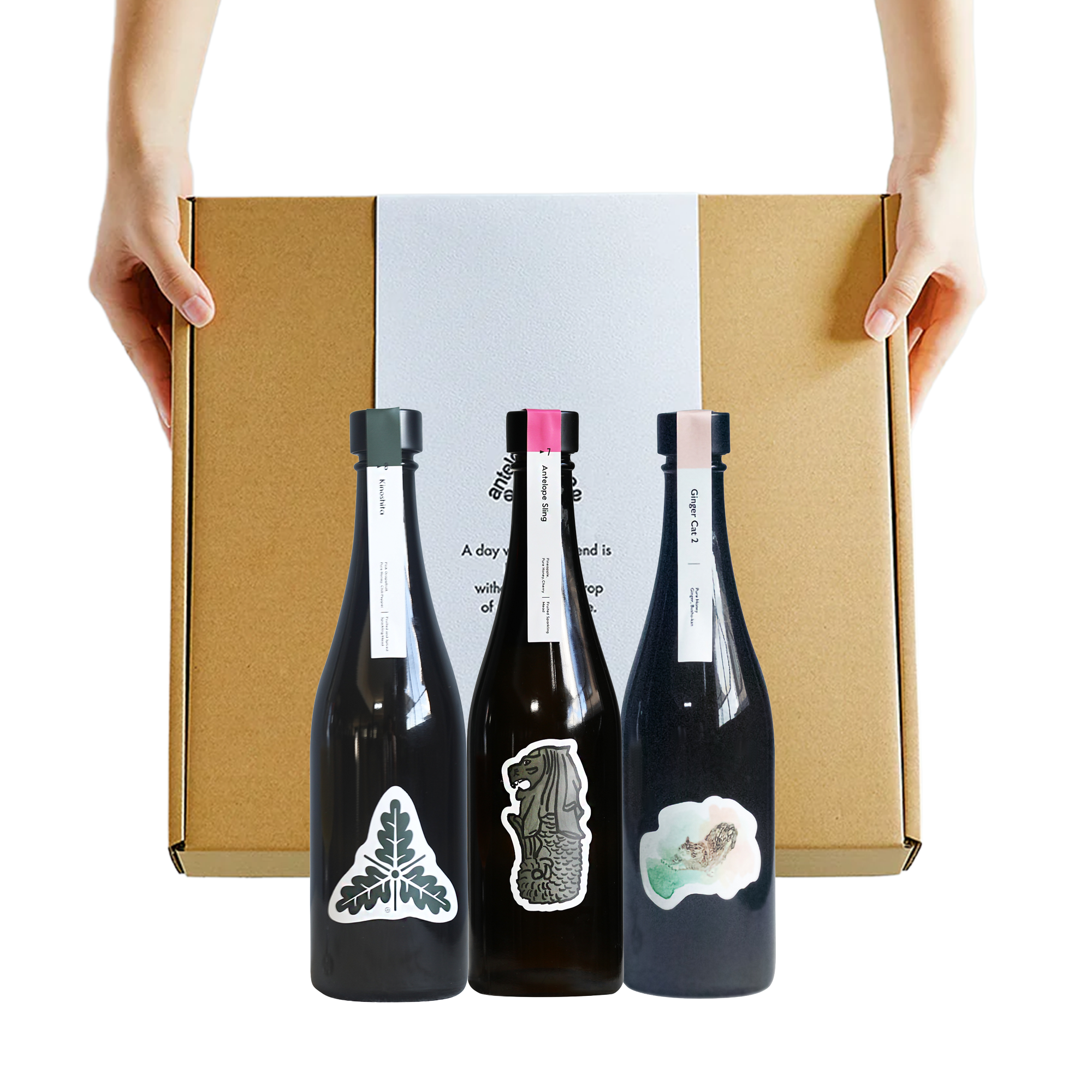 Antelope Session-Fruited Mead Gift Set (3x500ml)
