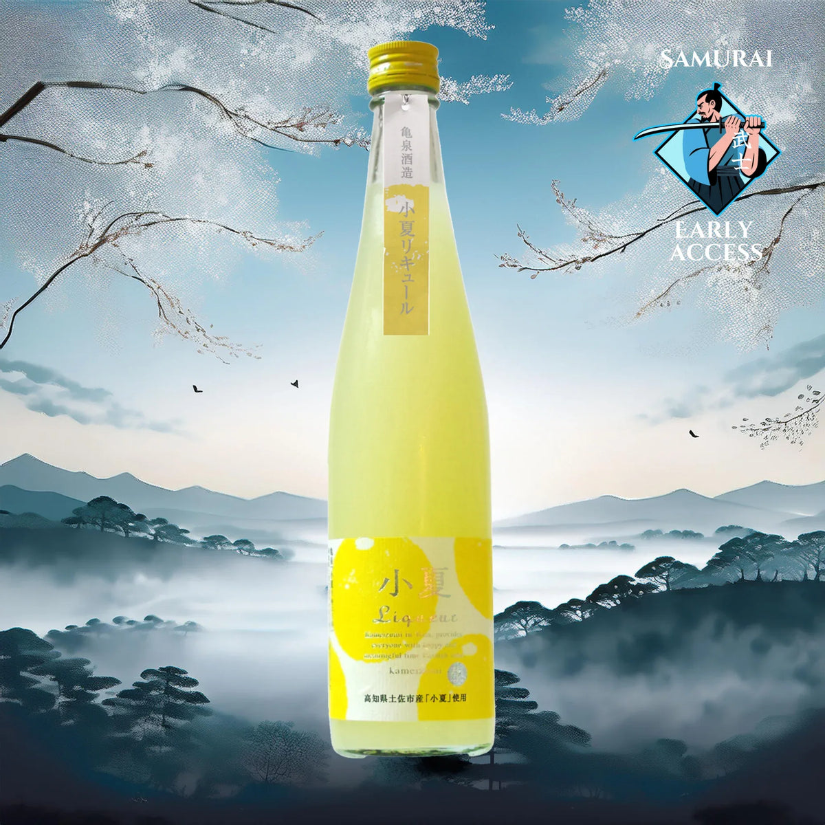 Kameizumi Konatsu Liqueur (500ml) – SAKE MAMA | 日本酒ママ