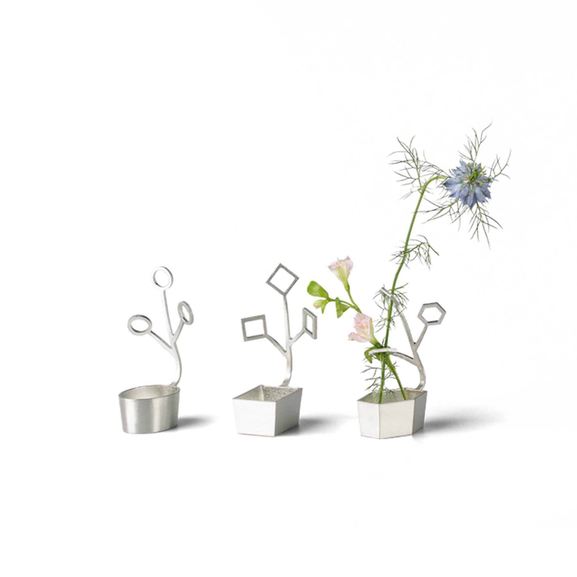 Nousaku Lasso - Maru