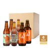 IPA Beer Set (6x330ml)