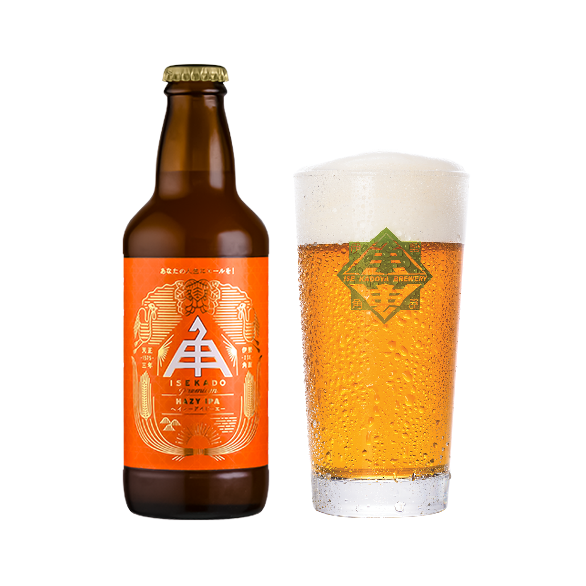 IPA Beer Set (6x330ml)