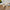 NousakuBowl-JapanesePlumLifestyle_826564c3-e1af-434b-b9c4-95a46ac90a62 - SAKE MAMA | 日本酒ママ