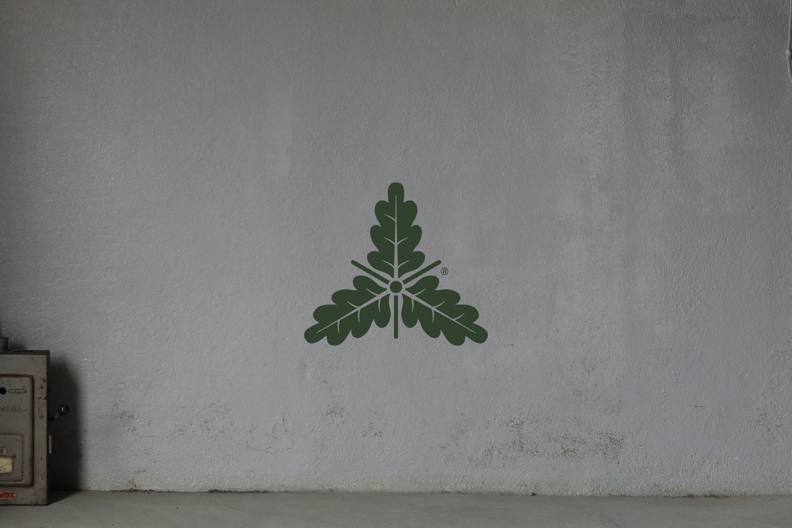 Antelope Kinoshita (500ml)